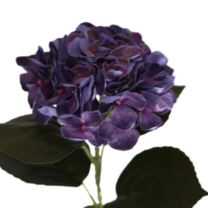 Hortensia sininen 62 cm