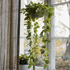 Flora Olivine
